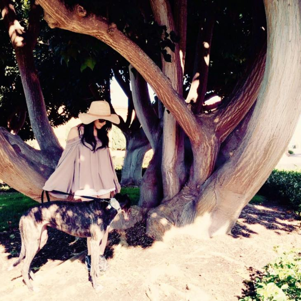 Meet your Posher, ma*qui